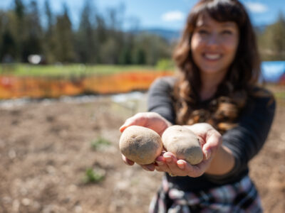 A woman holding potatoes in the garden.