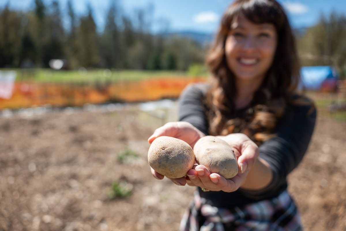I Left My Potatoes in the Ground for 5 Years Without Replanting – Here’s What Happened