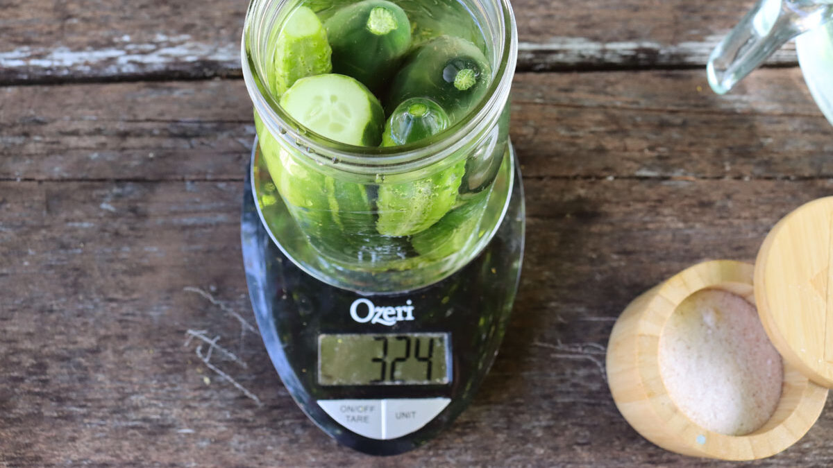 A jar of cucumbers and brine with a one inch headspace sitting on top of a kitchen scale.