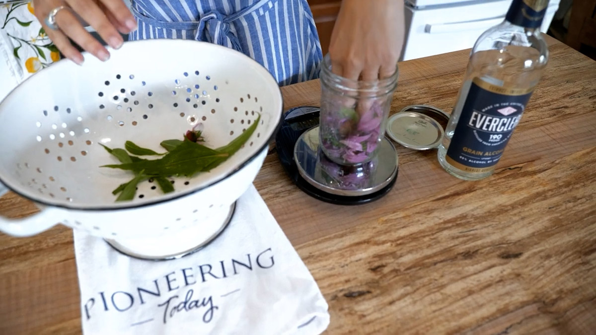 A woman putting echinacea leaves and flowers into a jar.