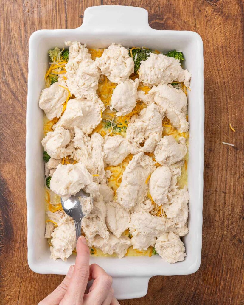 A spoon dropping biscuit dough on top of cheddar cheese sprinkled over curry sauce, broccoli and chicken in a 9x13 pan.