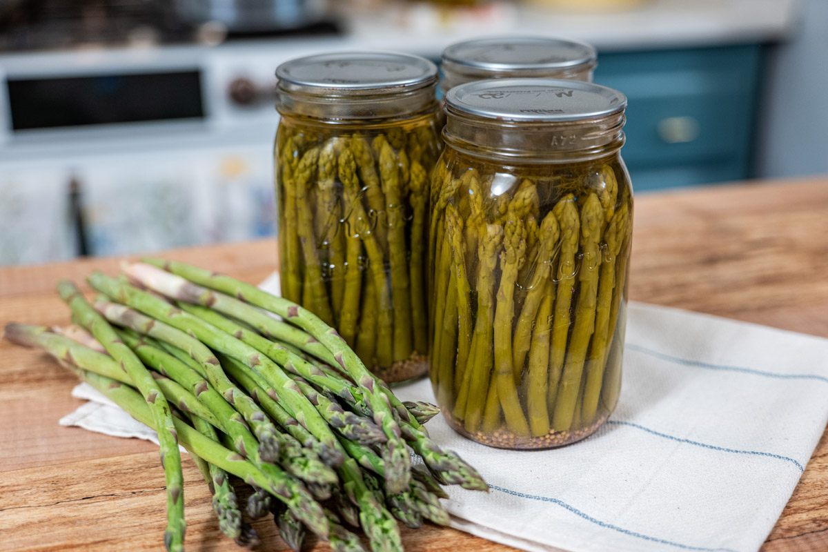 Jars of canned pickled asparagus on a counter.