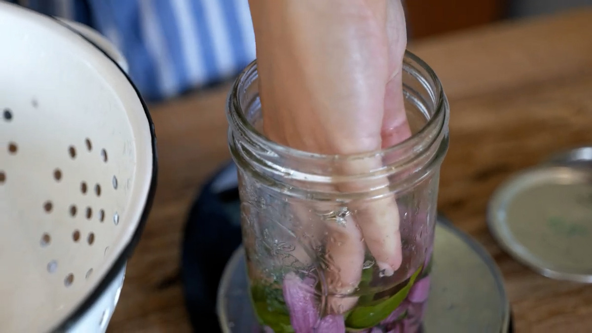 Pressing leaves and flowers under the alcohol for an echinacea tincture.