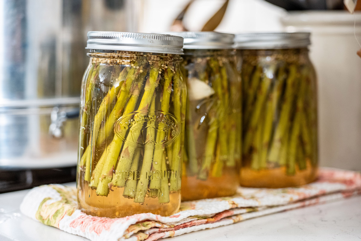 Jars of canned pickled asparagus on a counter.