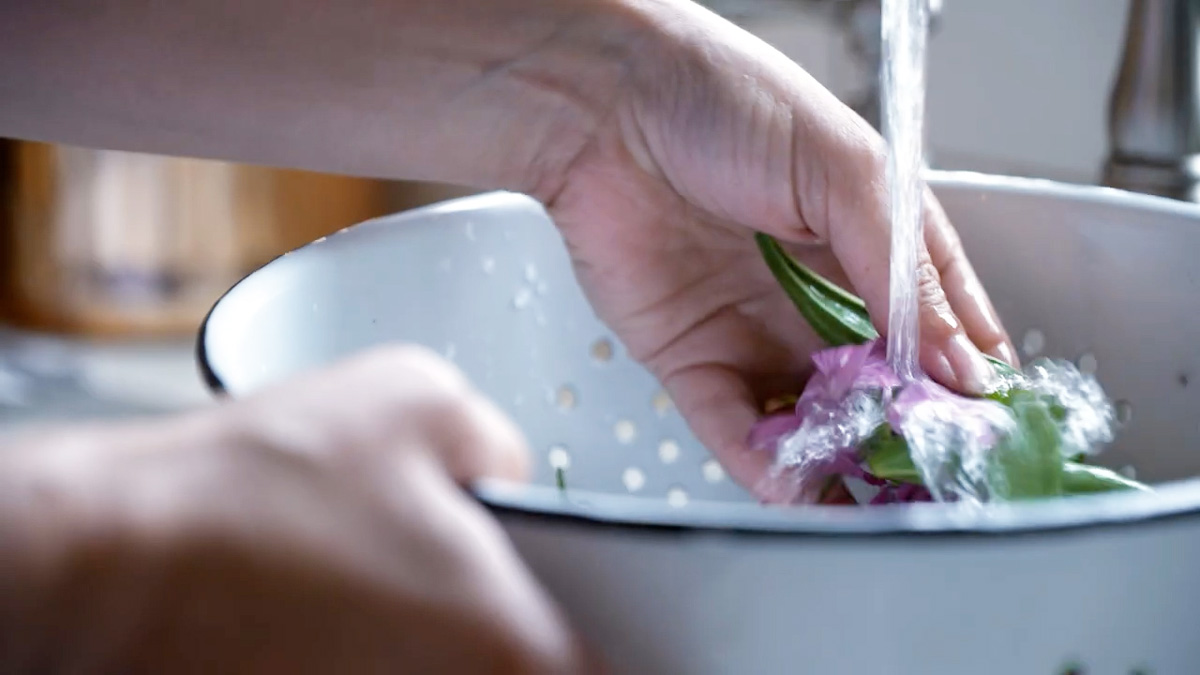 Rinsing echinacea flowers and leaves under water.