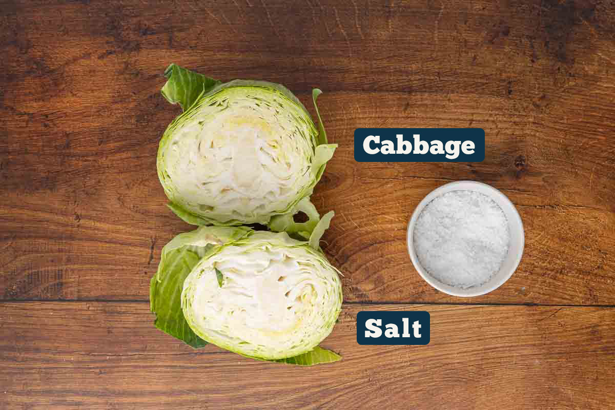 Fermented sauerkraut recipe ingredients: cabbage and salt.